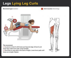 Lying Leg Curls