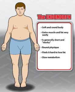 how to find out your body type endomorph