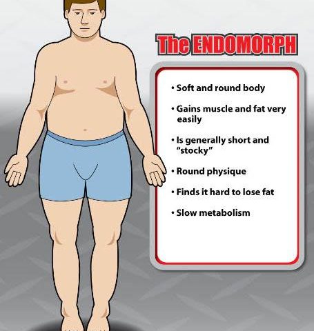 endo morph body type