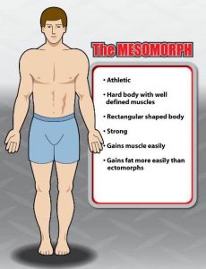 how to find out your body type mesomorph