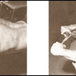 Larry Scott Arms - Triceps Workout