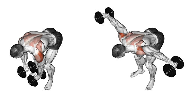 How to perform bent over lateral raise