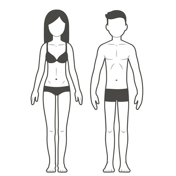 Male and Female Ectomorph Body type
